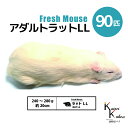 「アダルトラットLL 90匹 Biokimia 」 約20cm 240~280g 冷凍マウス 冷凍ラット フレッシュマウス フレッシュラット 冷凍餌 エサ えさ 爬虫類 両生類 猛禽類 大型魚 大型肉食魚
