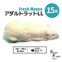 「アダルトラットLL 15匹 Biokimia 」 約20cm 240~280g 冷凍マウス 冷凍ラット フレッシュマウス フレッシュラット 冷凍餌 エサ えさ 爬虫類 両生類 猛禽類 大型魚 大型肉食魚