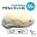 「アダルトラットXL 55匹 Biokimia 」 約22cm~ 300~400g 冷凍マウス 冷凍ラット フレッシュマウス フレッシュラット 冷凍餌 エサ えさ 爬虫類 両生類 猛禽類 大型魚 大型肉食魚