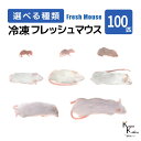 「マウス 100匹 選べる種類 Biokimia 」 冷凍マウス 冷凍ラット フレッシュマウス フレッシュラット 冷凍餌 エサ えさ 爬虫類 両生類 猛禽類 大...