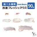 「マウス 90匹 選べる種類 Biokimia 」 冷凍マウス 冷凍ラット フレッシュマウス フレッシュラット 冷凍餌 エサ えさ 爬虫類 両生類 猛禽類 大型魚 大型肉食魚