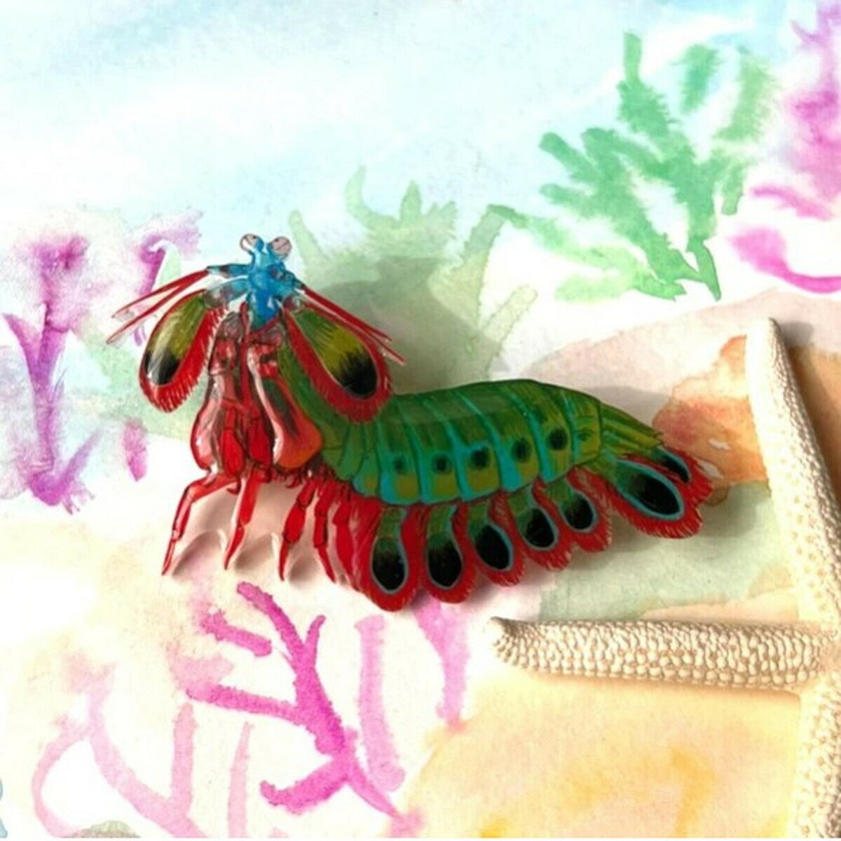 ֥ϥʥ㥳 ֥ סϥʥ㥳 ֥ ޥͥå ʪ ꡼ǥİե롡ʥ롡ץեȡ...