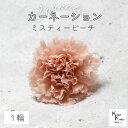 大地農園! プリザーブドフラワー 「カーネーション ミスティーピーチ 1輪」プリザ ドライフラワー 花材 装飾 ハーバリウム 母の日 おしゃれ かわいい プレゼ...
