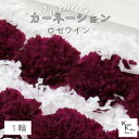 大地農園! プリザーブドフラワー 「カーネーション ロゼワイン 1輪」プリザ ドライフラワー 花材 装飾 ハーバリウム 母の日 おしゃれ かわいい プレゼント ...