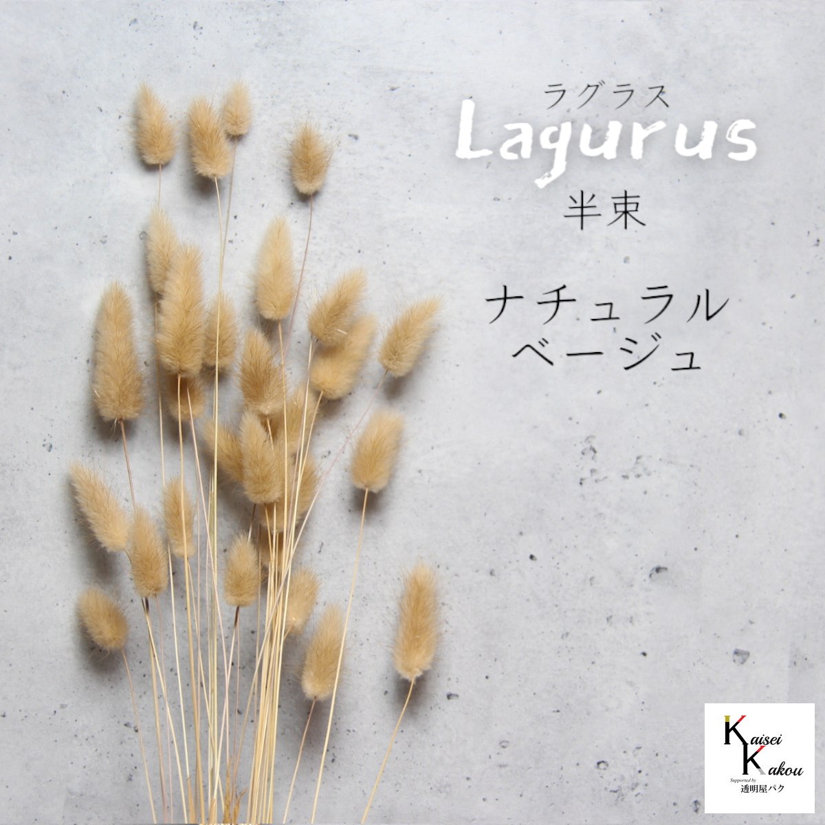 大地農園！プリザーブドフラワー 「ラグラス 半束 ナチュラルベージュ」プリザ 花材 ハーバリウム おし..