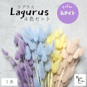 大地農園!プリザーブドフラワー 「ラグラス 1束×4色 ライトカラー(エンジェルパープル・クリーム・ラベンダー・ピンクベージュ)」プリザ 花材 ハーバリウム おしゃれ かわいい プレゼント 贈り物 オオチノウエン(4)