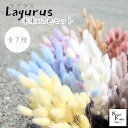大地農園!プリザーブドフラワー 「ラグラス 半束×2色セット 選べる」プリザ 花材 ハーバリウム おしゃれ かわいい プレゼント 贈り物 オオチノウエン