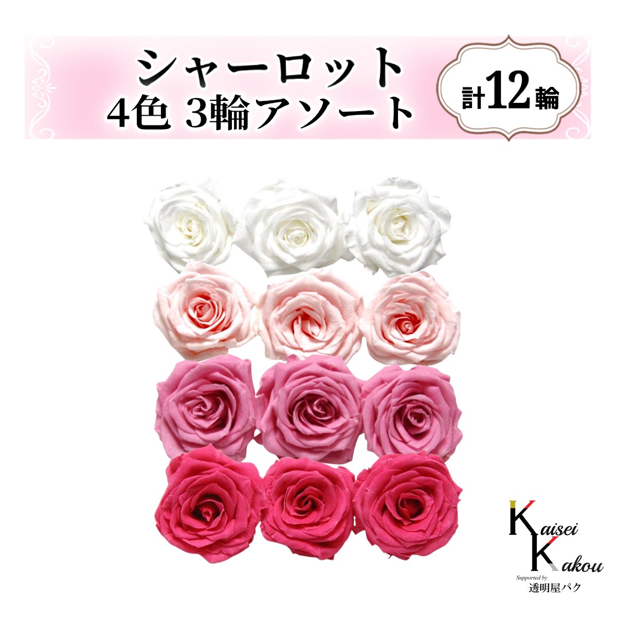 大地農園！プリザーブドフラワー「シャーロット 4色×3輪アソート 計12輪」「ピュアホワイト ブライダル..