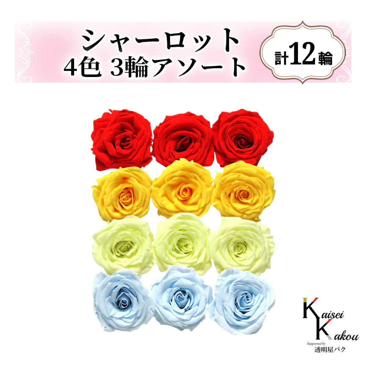 大地農園！プリザーブドフラワー「シャーロット 4色×3輪アソート 計12輪」「レッド ミモザイエロー フ..