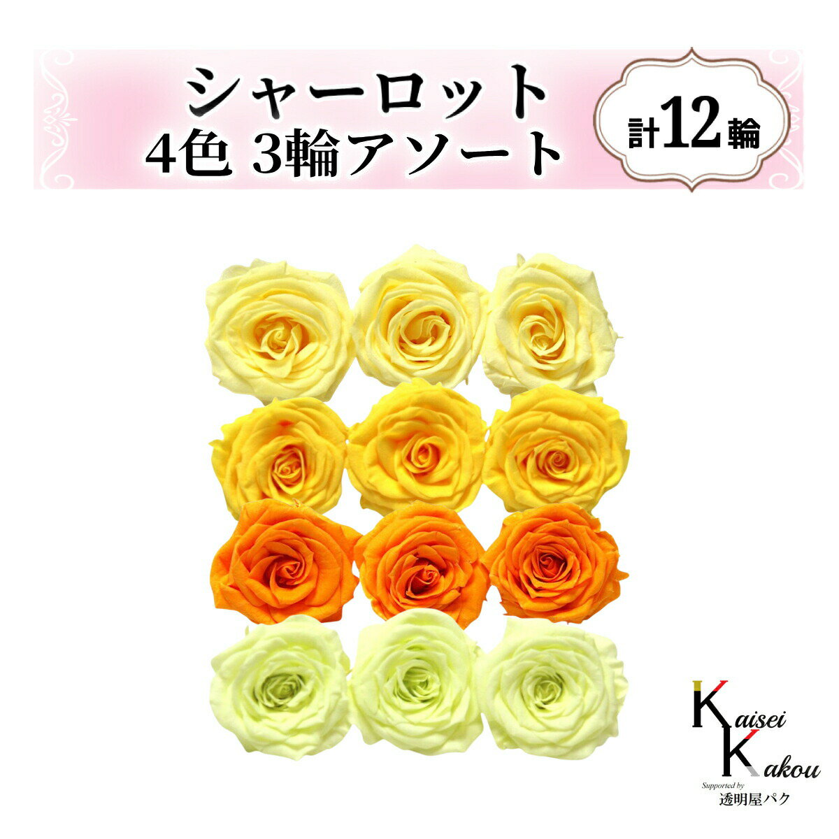 大地農園！プリザーブドフラワー「シャーロット 4色×3輪アソート 計12輪」「モーニングイエロー ミモザ..