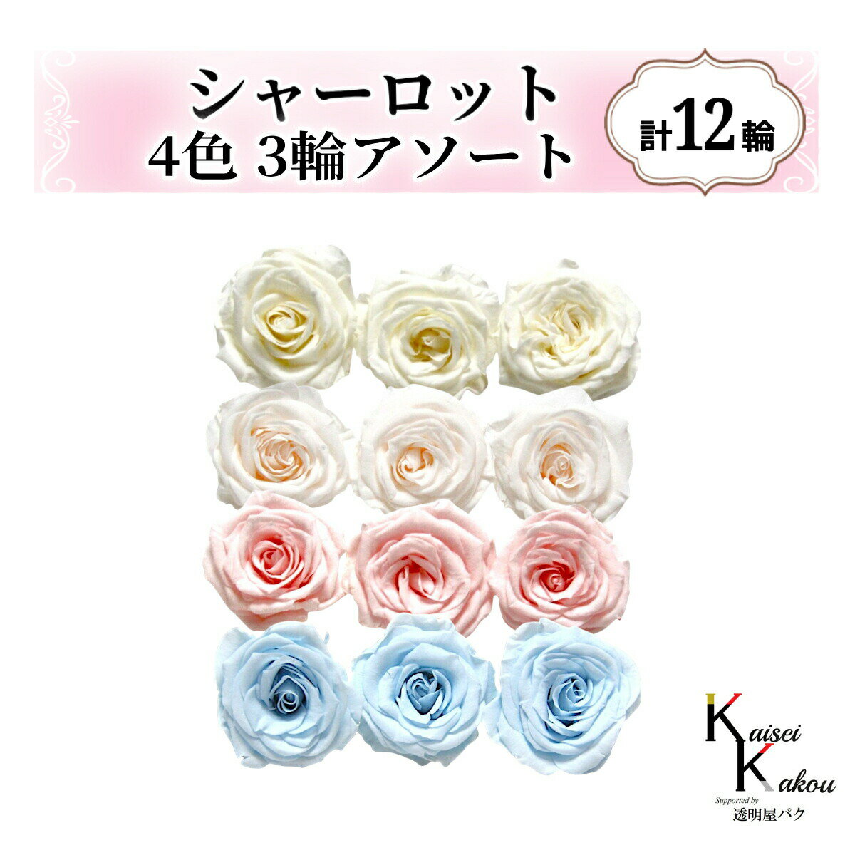 大地農園！プリザーブドフラワー「シャーロット 4色×3輪アソート 計12輪」「アンティックホワイト ホワ..