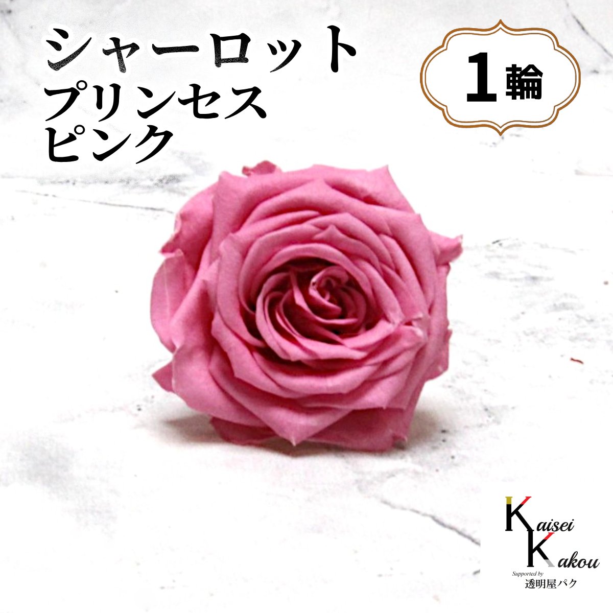 ùƩѥˤ㤨ࡪץꥶ֥ɥե ֥㡼å ץ󥻥ԥ 1ء ץꥶ ֺ ϡХꥦ  ԥ Х 襤 ץ쥼 £ʪΥפβǤʤ504ߤˤʤޤ