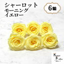 大地農園!プリザーブドフラワー 「シャーロット モーニングイエロー 6輪」 プリザ 花材 ハーバリウム おしゃれ イエロー 黄色 バラ かわいい プレゼント 贈...