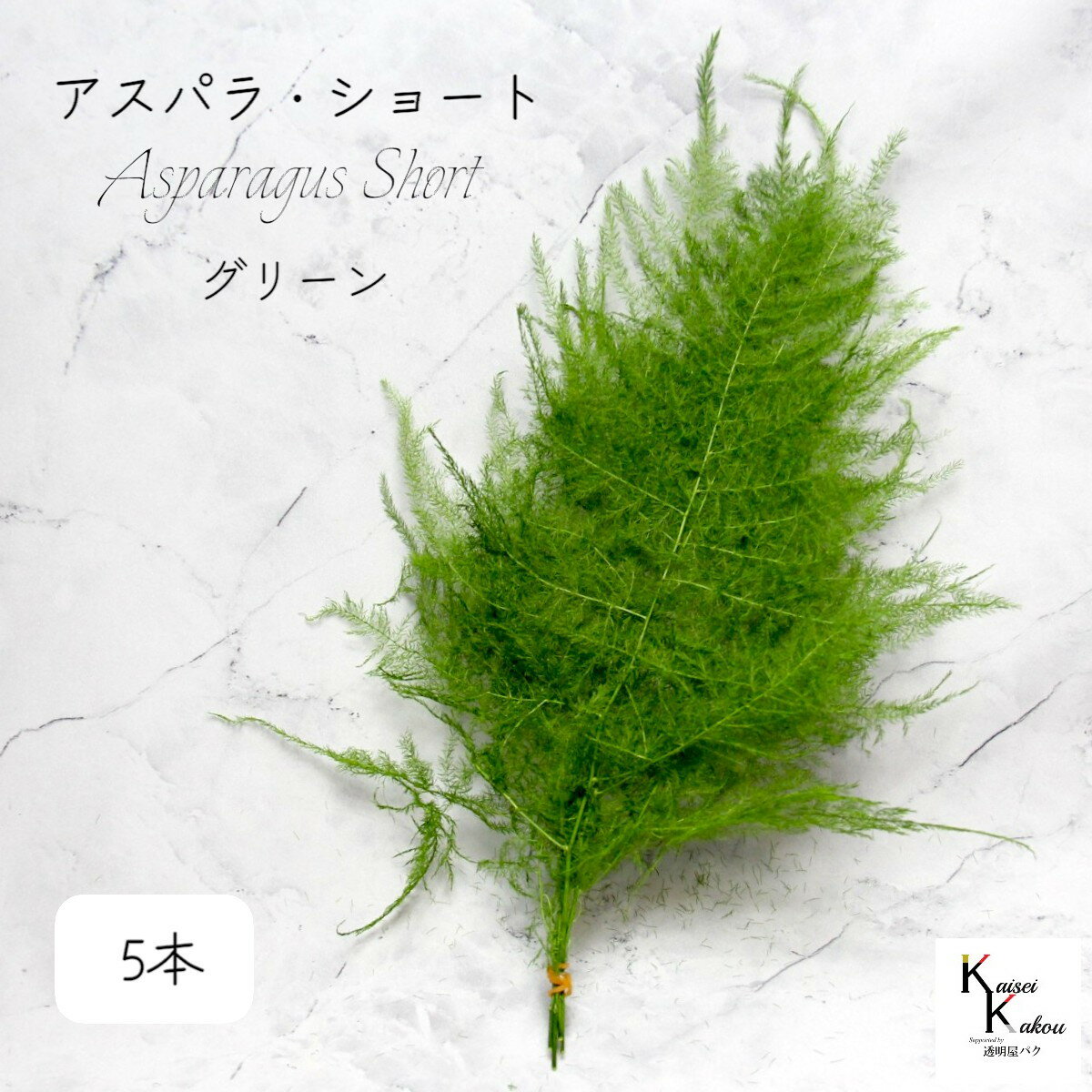 大地農園！プリザーブドフラワー「アスパラ・ショート グリーン 5本」プリザ 花材 ハーバリウム おしゃ..
