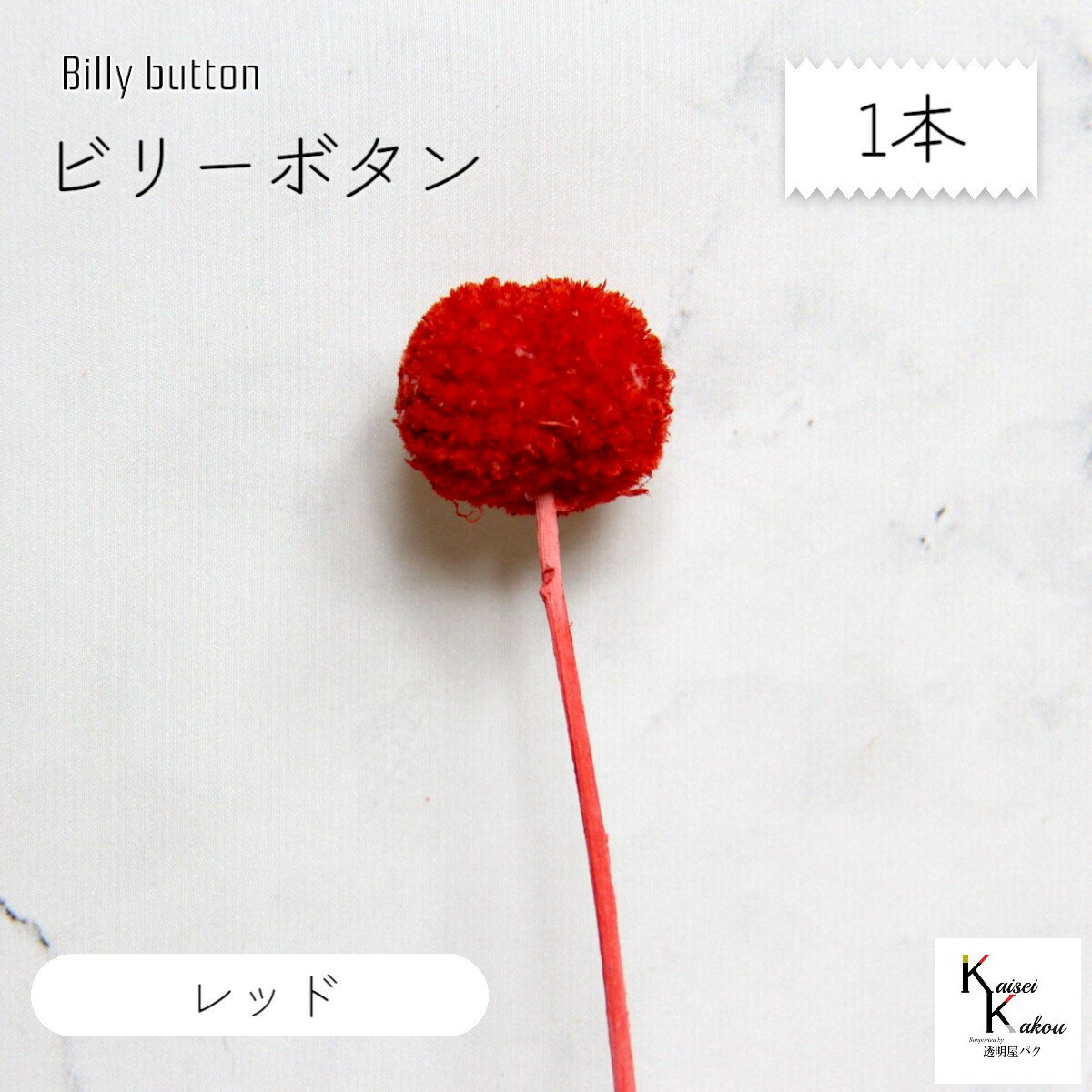 大地農園！プリザーブドフラワー「ビ...