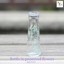大地農園「ボトルインフラワー カスミソウ ブルー 0.2g 円錐50ml」プリザーブドフラワー プリザ ハーバリウム 小花 ドライフラワー ハーバリウム アロマ...