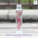 大地農園「ボトルインフラワー カスミソウ ワイン 1g スクエア150ml」プリザーブドフラワー プリザ ハーバリウム 小花 ドライフラワー ハーバリウム アロ...