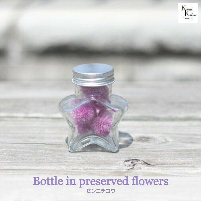 大地農園「ボトルインフラワー　センニチコウ　千日紅　スイートライラック　5輪　ミニ星」プリザーブ..