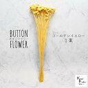大地農園!プリザーブドフラワー 「ボタンフラワー ゴールデンイエロー 1束」プリザ 花材 ハーバリウム オオチノウエン ボタン インテリア おしゃれ かわいい ...