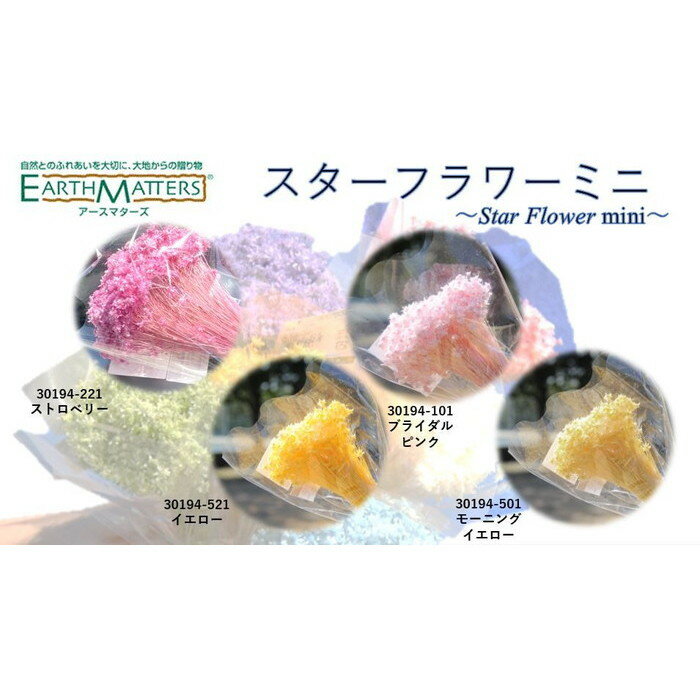 大地農園！スターフラワー　ミニ【ストロベリー】半束　約6g（約200本） ドライフラワー　プリザーブドフラワー 花材 プリザ アレンジ 資材 敬老の日