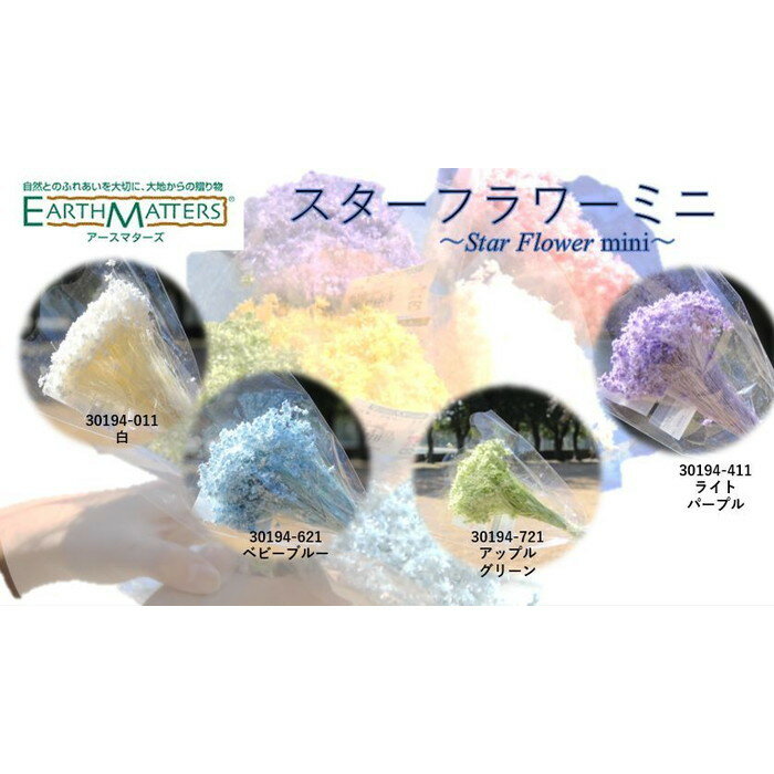 大地農園！スターフラワー　ミニ【ストロベリー】半束　約6g（約200本） ドライフラワー　プリザーブドフラワー 花材 プリザ アレンジ 資材 敬老の日