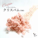 「大地農園 クリスパム シルキーピンク 半束」 ドライフラワー 花材 ハーバリウム 素材 小さいお花 おしゃれ かわいい アレンジメント ギフト 母の日 お誕生...