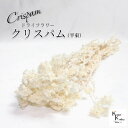 「大地農園 クリスパム 白 半束 」 ドライフラワー 花材 ハーバリウム 素材 小さいお花 おしゃれ かわいい アレンジメント ギフト 母の日 お誕生日 オオチ...