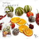 大地農園! プリザーブドフラワー 「ミックスポプリ 1袋(100g)」 フルーツ プリザ 果物 オレンジ アップル 装飾 ハーバリウム おしゃれ かわいい プレ...