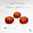 大地農園! プリザーブドフラワー 「ソラナム 大小アソート 3個」 フルーツ プリザ 果物 ソラナムパンプキン 装飾 ハーバリウム おしゃれ かわいい プレゼン...