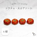 大地農園! プリザーブドフラワー 「ソラナム 大小アソート 1袋(4個)」 フルーツ プリザ 果物 ソラナムパンプキン 装飾 ハーバリウム おしゃれ かわいい ...