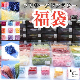 大地農園！プリザーブドフラワー「福袋　74000円分　千日紅・アジサイ・カスミ草」送料無料　花材　ハーバリウム　贈り物　オオチノウエン　カシワバアジサイ　ピラミッドアジサイ　ゆめアジサイ　ミニカスミ草　紫陽花　カスミソウ