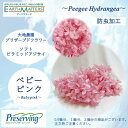 大地農園!プリザーブドフラワー 「1輪分 ソフトピラミッドアジサイ ベビーピンク」プリザ アジサイ 紫陽花 花材 ハーバリウム おしゃれ かわいい プレゼント ...