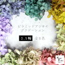 大地農園! プリザーブドフラワー 「ピラミッドアジサイ・ヘッド(グラデーション) 0.5輪 選べる」プリザ ドライフラワー 花材 装飾 ハーバリウム おしゃれ ...