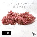 大地農園! プリザーブドフラワー 「ピラミッドアジサイ・ヘッド(グラデーション) 2輪 ピンクライム」プリザ ドライフラワー 花材 装飾 ハーバリウム おしゃれ かわいい プレゼント 贈り物 オオチノウエン(4)