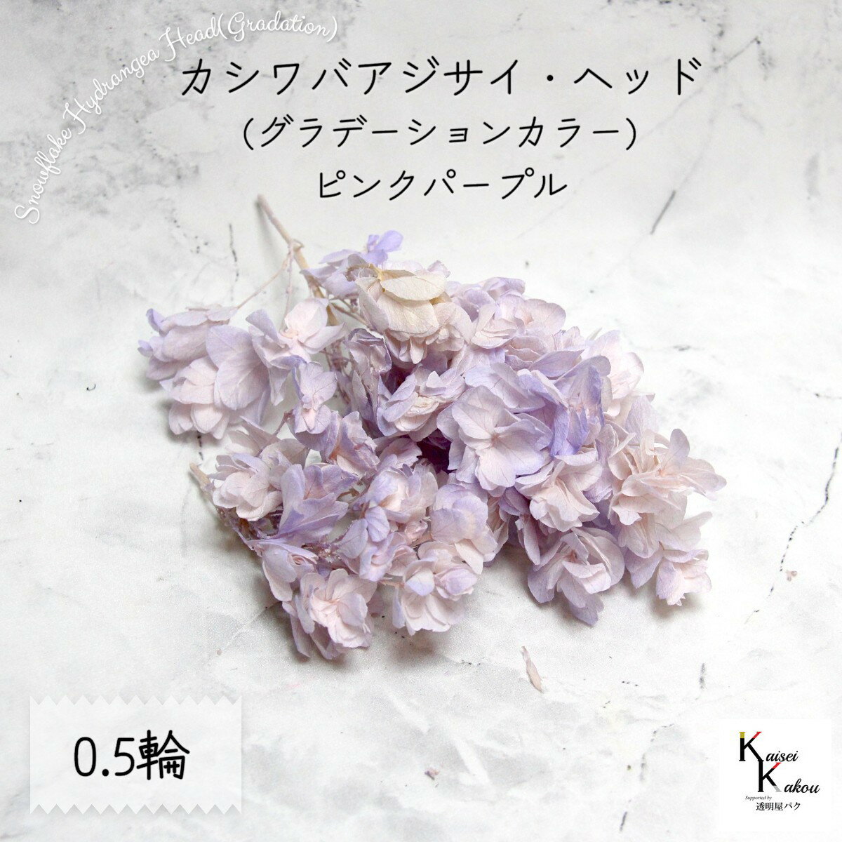 宅急便で発送 大地農園！ プリザーブドフラワー 「カシワバアジサイ (グラデーション) ピンクパープル ..