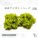 大地農園! プリザーブドフラワー 「ゆめアジサイ グリーン 2輪分」 アジサイ