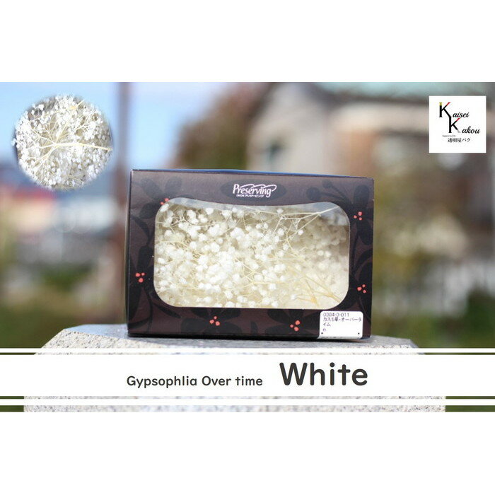 大地農園!プリザーブドフラワー 約5g分【カスミソウ オーバータイム 白】プリザ カスミ草 カスミソウ 花材 ハーバリウム おしゃれ かわいい プレゼント 贈り物 オオチノウエン