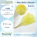 大地農園!プリザーブドフラワー 「2g ソフトミニカスミ草 クリーム」プリザ カスミソウ カスミ草 花材 ハーバリウム おしゃれ かわいい プレゼント 贈り物...