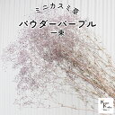 大地農園!プリザーブドフラワー「ミニカスミ草 パウダーグリーン 一束」プリザ カスミ草 カスミソウ 花材 ハーバリウム おしゃれ かわいい プレゼント 贈り物 ...