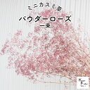 大地農園!プリザーブドフラワー「ミニカスミ草 パウダーローズ 一束」プリザ カスミ草 カスミソウ 花材 ハーバリウム おしゃれ かわいい プレゼント 贈り物 オ...