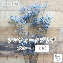 大地農園!プリザーブドフラワー 「アンティークプリザ・カスミ草 1束 ブルー」プリザ カスミ草 カスミソウ 花材 ハーバリウム おしゃれ かわいい プレゼント 贈り物 オオチノウエン(4)