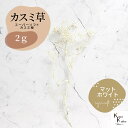 「大地農園 スーパーソフトミニカスミ草 マットホワイト 2g」 ドライフラワー 花材 ハーバリウム 素材 小さいお花 アレンジメント ギフト 母の日 お誕生日 ...