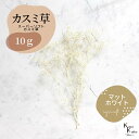 「大地農園 スーパーソフトミニカスミ草 マットホワイト 10g」 ドライフラワー 花材 ハーバリウム 素材 小さいお花 アレンジメント ギフト 母の日 お誕生日...