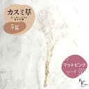 「大地農園 スーパーソフトミニカスミ草 マットピンク 5g」 ドライフラワー 花材 ハーバリウム 素材 小さいお花 アレンジメント ギフト 母の日 お誕生日 オ...
