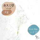 「大地農園 スーパーソフトミニカスミ草 マットブルー 2g」 ドライフラワー 花材 ハーバリウム 素材 小さいお花 アレンジメント ギフト 母の日 お誕生日 オオチノウエン プリザーブドフラワー プリザーブド プリザ かすみそう カスミ ハンドメイド(4)