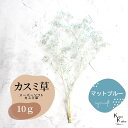 「大地農園 スーパーソフトミニカスミ草 マットブルー 10g」 ドライフラワー 花材 ハーバリウム 素材 小さいお花 アレンジメント ギフト 母の日 お誕生日 ...