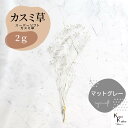 「大地農園 スーパーソフトミニカスミ草 マットグレー 2g 」 ドライフラワー 花材 ハーバリウム 素材 小さいお花 アレンジメント ギフト 母の日 お誕生日 ...