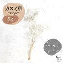 「大地農園 スーパーソフトミニカスミ草 マットグレー 5g 」 ドライフラワー 花材 ハーバリウム 素材 小さいお花 アレンジメント ギフト 母の日 お誕生日 ...