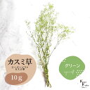 「大地農園 スーパーソフトミニカスミ草 グリーン 10g 」 ドライフラワー 花材 ハーバリウム 素材 小さいお花 アレンジメント ギフト 母の日 お誕生日 オ...