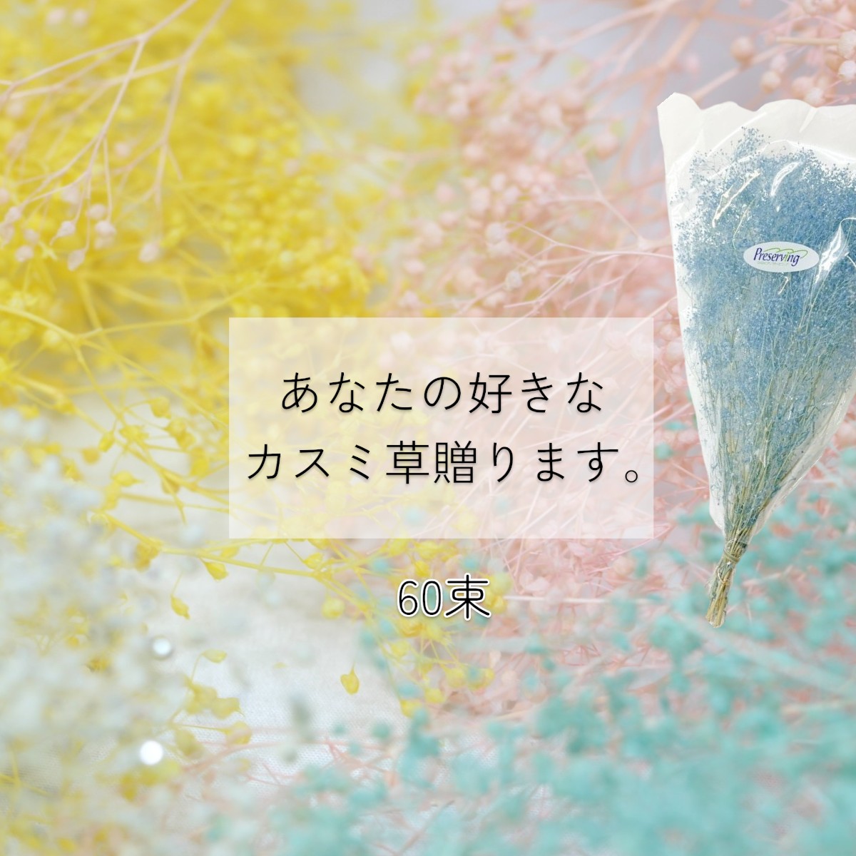 大地農園 「あなたの好きなカスミ草60束分贈ります」 プリザーブドフラワー 詰め合わせ kasumi カスミ草 花材 ハーバリウム　フラワー..